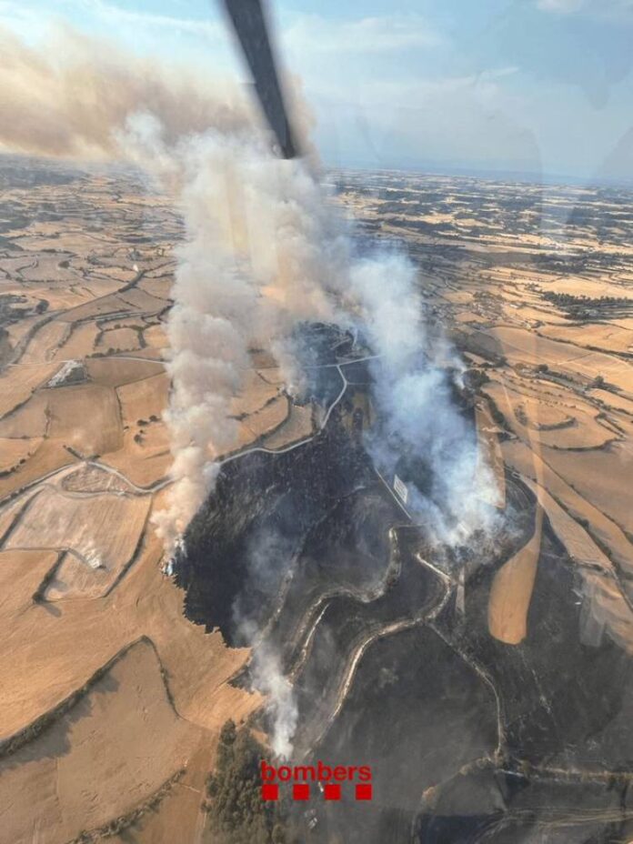 Incendi de vegetació agrícola a Talavera