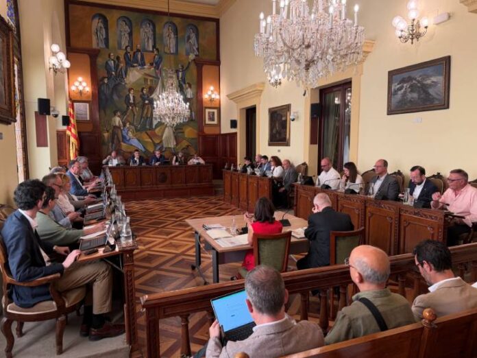 Ple de la Diputació de Lleida del mes de juny