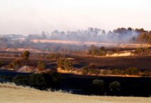 Els Bombers donen per controlat l’incendi de Talavera, a la Segarra