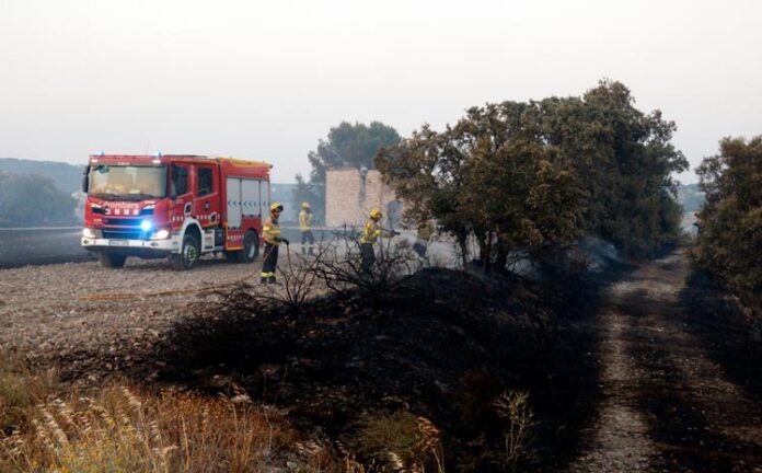 incendi-sant-antoli-segarra
