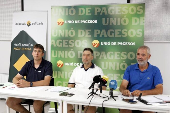 Aleix Sala, membre de la sectorial del Porcí d'Unió de Pagesos; Rossend Saltiveri, responsable nacional del sector Porcí i Josep Maria Pijuan, responsable de Sectors Ramaders d'Unió de Pagesos.