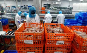 Vall Companys redueix més de la meitat les inversions i rebaixa el dividend per l’impacte de la pesta porcina africana