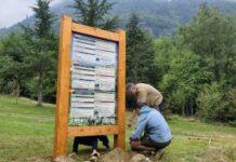 Instal·len el primer cartell divulgatiu sobre l’os bru a la Val d’Aran