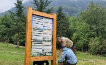 Instal·len el primer cartell divulgatiu sobre l’os bru a la Val d’Aran