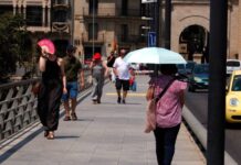 Els termòmetres s’enfilen per sobre dels 41ºC i depassen les màximes de dimecres