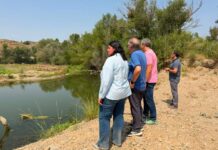 Reconstrueixen el mur de contenció al Sot del Cinca, a Massalcoreig