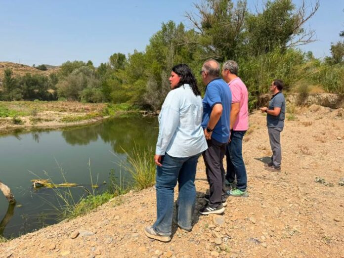 Visita a la reconstrucció del mur a l'aiguabarreig a Massalcoreig (1)