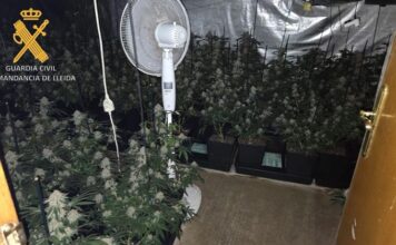 La Guàrdia Civil desmantella una plantació de marihuana en un pis de Lleida i deté un home