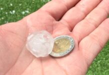 Tempestes acompanyades de pedra afecten cultius de fruita del Segrià