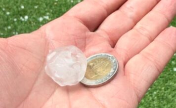 Tempestes acompanyades de pedra afecten cultius de fruita del Segrià