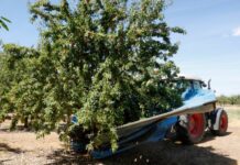 JARC reclama a Agricultura l’avançament de la PAC per reforçar la liquiditat de les explotacions agràries