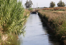 El canal d’Urgell tanca una campanya de reg marcada per la calor de l’estiu que ha fet augmentar la demanada d’aigua