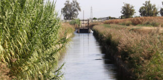 El canal d’Urgell tanca una campanya de reg marcada per la calor de l’estiu que ha fet augmentar la demanada d’aigua