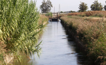 El canal d’Urgell tanca una campanya de reg marcada per la calor de l’estiu que ha fet augmentar la demanada d’aigua