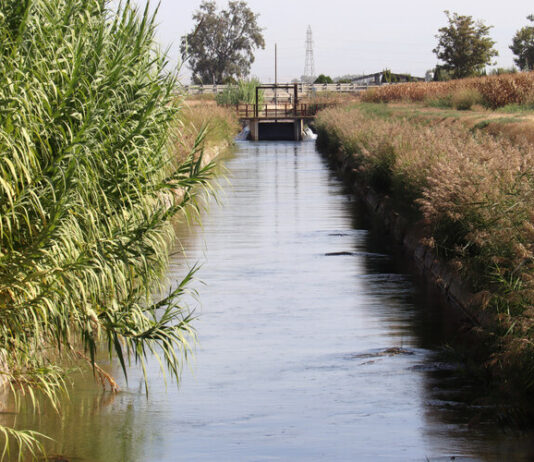 El canal d’Urgell tanca una campanya de reg marcada per la calor de l’estiu que ha fet augmentar la demanada d’aigua