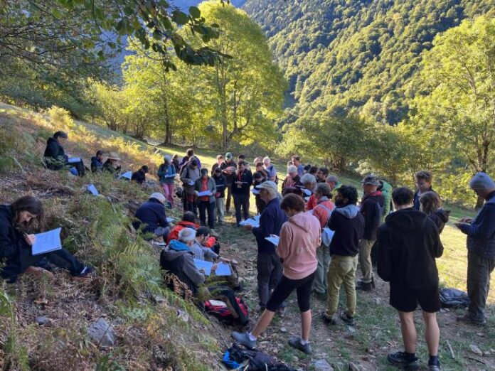 Explicació d’un perfil del sòl a la zona de Sant Joan de Toran, a la Val d'Aran.