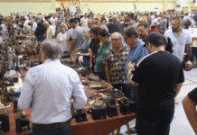 El món dels vehicles clàssics i les antiguitats treu múscul al 31è Expoclàssic de Mollerussa