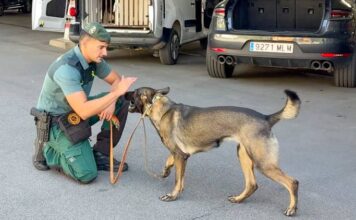 Rellotges i perfums desbanquen el tabac com a rei del contraban a la Farga de Moles