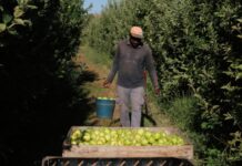 L’atur puja un 5,26% a l’agost a la demarcació de Lleida i l’afiliació s’estanca després del fort augment del juliol