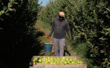 L’atur puja un 5,26% a l’agost a la demarcació de Lleida i l’afiliació s’estanca després del fort augment del juliol