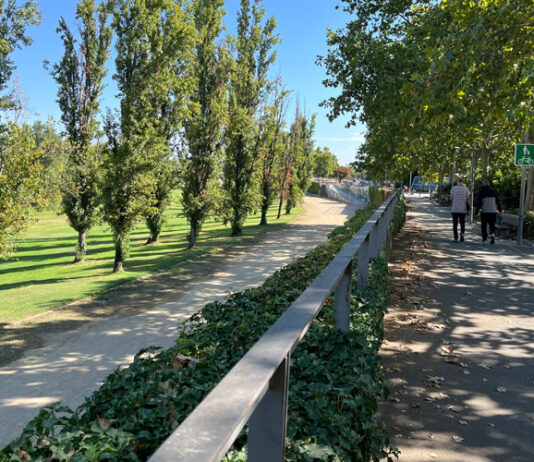 Lleida ampliarà el mur de la canalització del Segre per reduir el risc d’inundació a Cappont