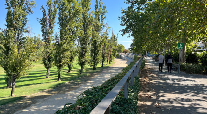 Lleida ampliarà el mur de la canalització del Segre per reduir el risc d’inundació a Cappont