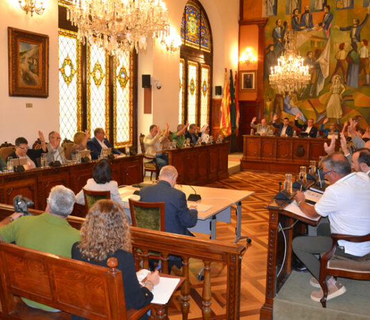 La Diputació de Lleida aprova definitivament el Pla Zonal de la Xarxa Local de Carreteres
