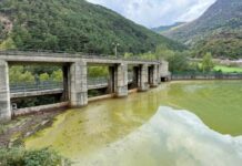 L’aigua del pantà de la Torrassa apareix tenyida de verd per unes algues que poden produir substàncies verinoses
