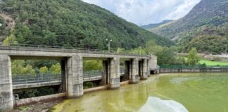 L’aigua del pantà de la Torrassa apareix tenyida de verd per unes algues que poden produir substàncies verinoses