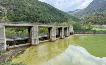 L’aigua del pantà de la Torrassa apareix tenyida de verd per unes algues que poden produir substàncies verinoses