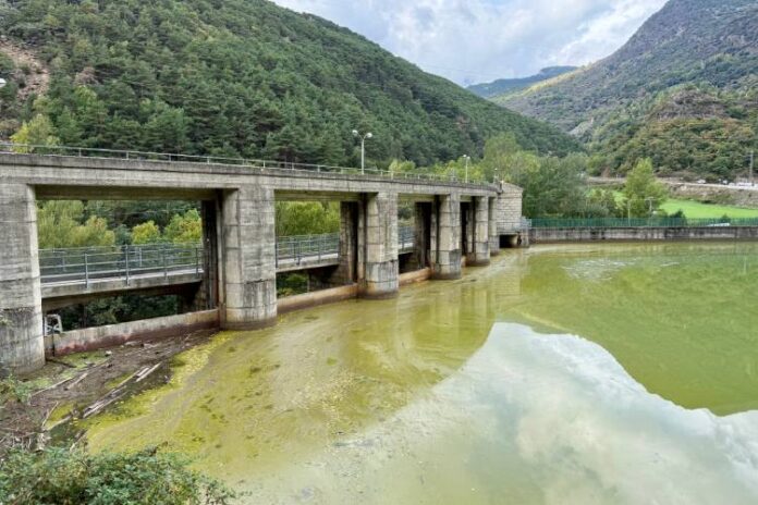 L'aigua a la zona de les comportes del pantà de la Torrassa presenta un color verd groguenc
