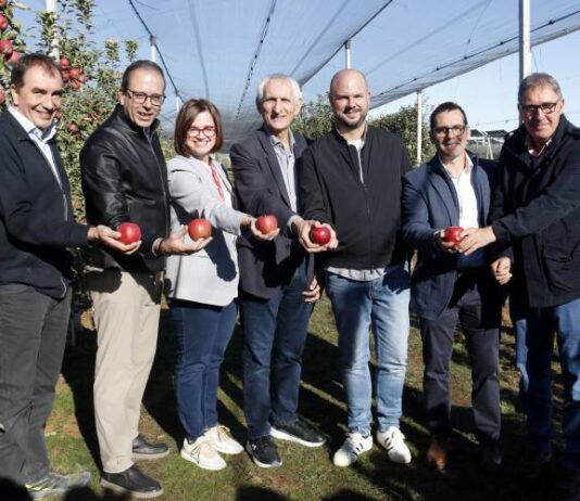 L’IRTA presenta Adore, una varietat de poma tardana que s’adapta a episodis de calor prolongada