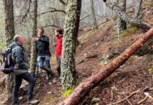 El Parc Nacional d’Aigüestortes té els millors boscos madurs d’Espanya