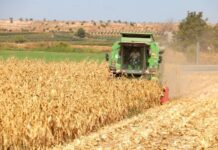 L’atur puja un 2,57% al setembre a la demarcació de Lleida i el territori perd 5.200 llocs de treball