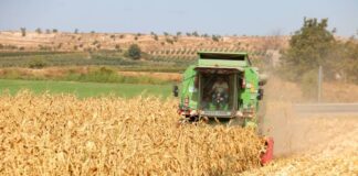 L’atur puja un 2,57% al setembre a la demarcació de Lleida i el territori perd 5.200 llocs de treball