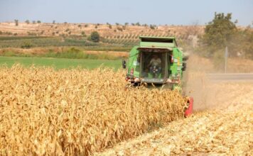 L’atur puja un 2,57% al setembre a la demarcació de Lleida i el territori perd 5.200 llocs de treball