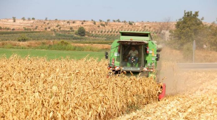 L’atur puja un 2,57% al setembre a la demarcació de Lleida i el territori perd 5.200 llocs de treball