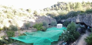 Una discussió de parella destapa una plantació de marihuana i permet detenir set persones a Bovera